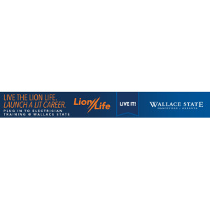 Wallace_Lion-Life-23_Display_Electrician_728x90